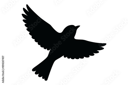 Silhouette of a bird in flight with outstretched wings against a white background, representing freedom and nature's beauty