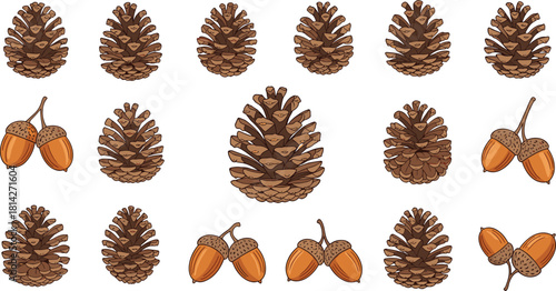 Pine cones and acorns, cartoon forest elements, autumn nature pattern, botanical illustration, seasonal clipart, vector design, woodland decor