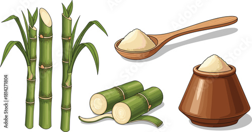 Sugarcane and sugar illustration, cartoon style, green stalks, cut segments, granulated sugar, wooden spoon, vector food design