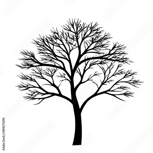 lone tree silhouette inside a perfect circle frame.svg