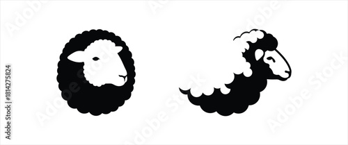 Distinctive Black and White Sheep Illustrations Set Frontal Head and Side Profile Views of Woolly Farm Animals