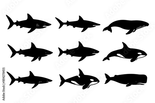 Silhouettes of sharks and whales in various poses on white background.