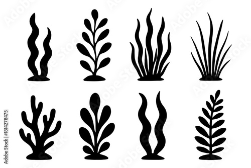 Silhouette seaweed collection: eight unique aquatic plant designs.