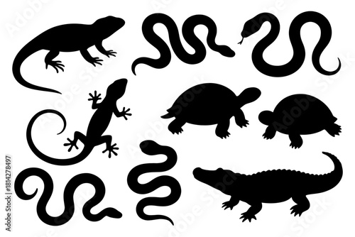 Silhouettes of reptiles: lizards, snakes, turtles, and crocodile in black.