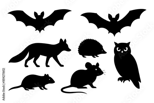 Silhouettes of nocturnal animals: bat, fox, hedgehog, owl, mouse.
