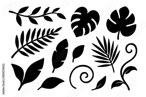 Collection of black silhouette leaves: nature-inspired botanicals and decorative foliage.