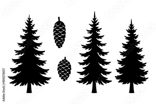 Silhouette of fir trees and pine cones on white background.