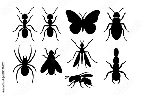 Silhouettes of insects and bugs: ant, butterfly, beetle, spider, mosquito, fly, wasp.
