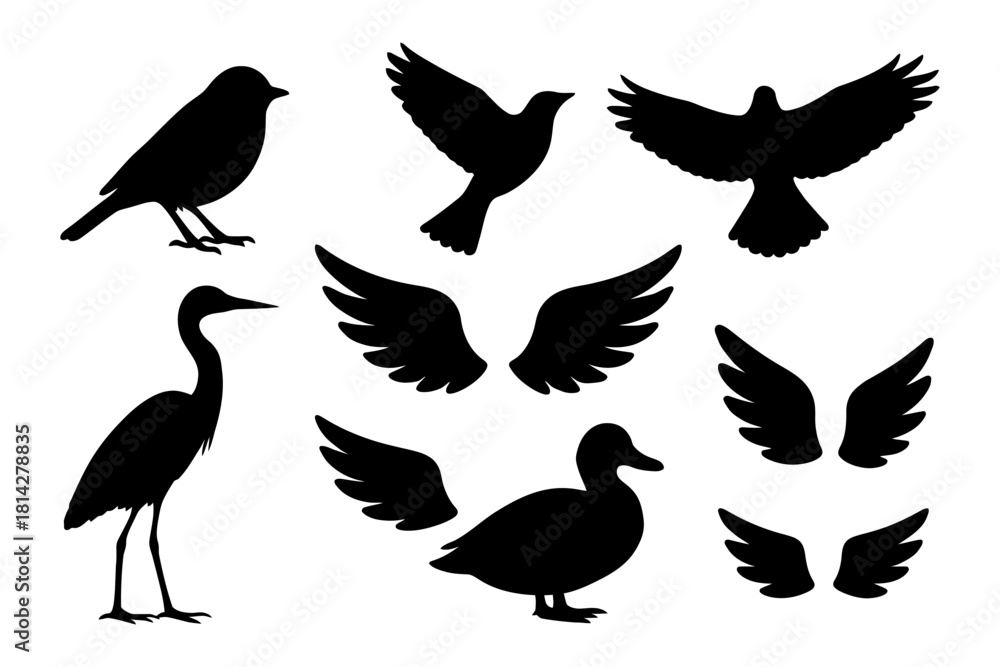 Obraz premium Silhouette collection of birds and wings in various poses.