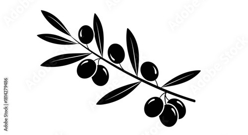 Elegant olive branch illustration conveying mediterranean flavors and simplicity