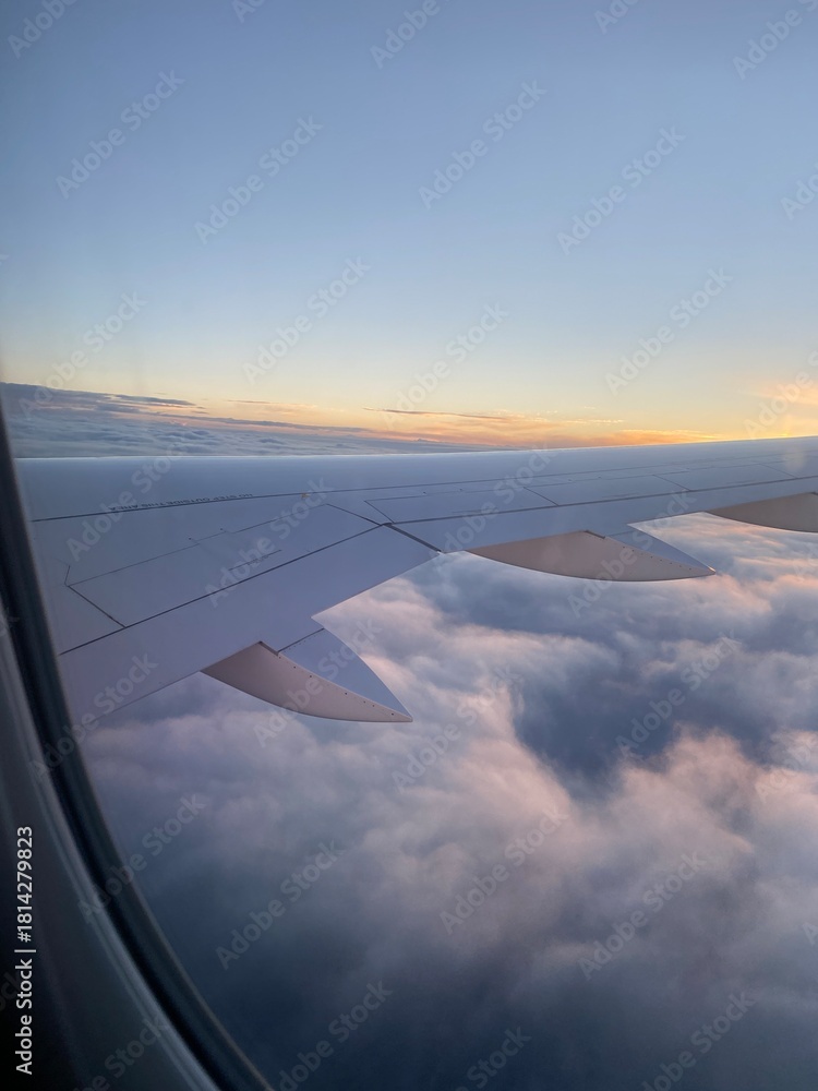 Obraz premium flight