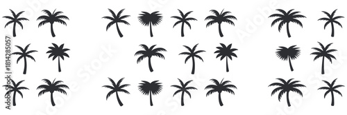Tropical Palm Trees Silhouette Collection. Various Styles and Sizes for Design Inspiration