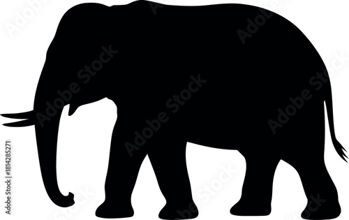 Black elephant silhouette animal mammal