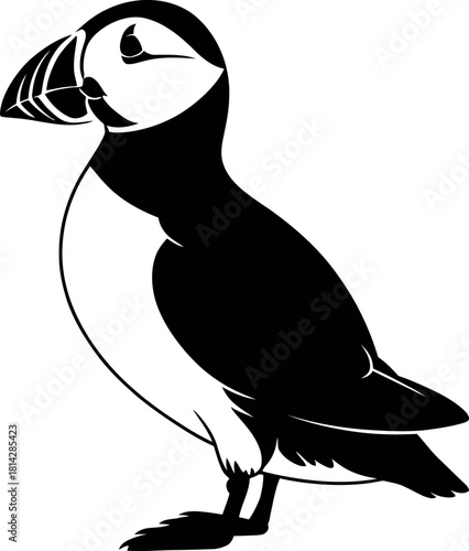 Black puffin standing white background bird silhouette