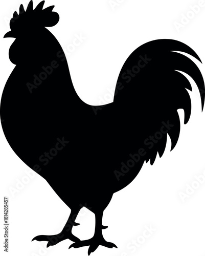 Black rooster silhouette bird fowl