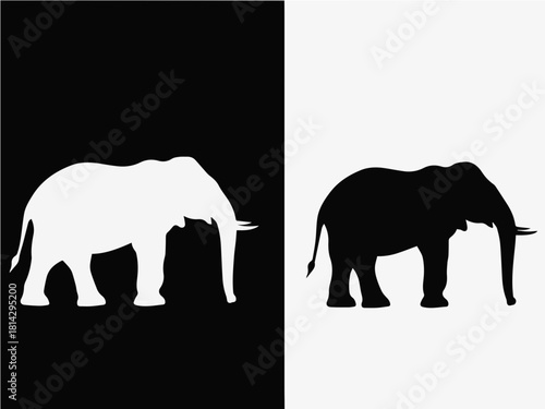 Elephant Silhouette Dual Contrast Composition