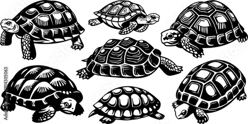 A collection of stylized illustrations of turtles is presented against a transparent background. The turtles vary in size and color, featuring shells in shades of brown, green, and tan. Each turtle is
