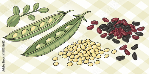 An illustrated arrangement of various legumes. Several green pea pods, some open to reveal the round green peas, are scattered across the frame. There are also piles of shelled peas. Red kidney beans 
