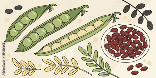 An illustrated arrangement of various legumes. Several green pea pods, some open to reveal the round green peas, are scattered across the frame. There are also piles of shelled peas. Red kidney beans 