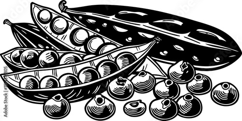 An illustrated arrangement of various legumes. Several green pea pods, some open to reveal the round green peas, are scattered across the frame. There are also piles of shelled peas. Red kidney beans 