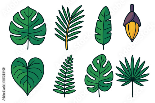 Stylized tropical jungle foliage set featuring exotic palm leaves and banana flower bud