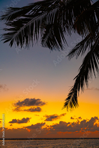 Fototapeta Naklejka Na Ścianę i Meble -  Dramatic sunset over Indian ocean and sand beach with palm tree leaves, Maldives