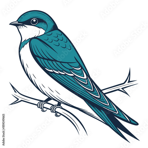 Elegant Swallow Perched in Natural Setting Vector

