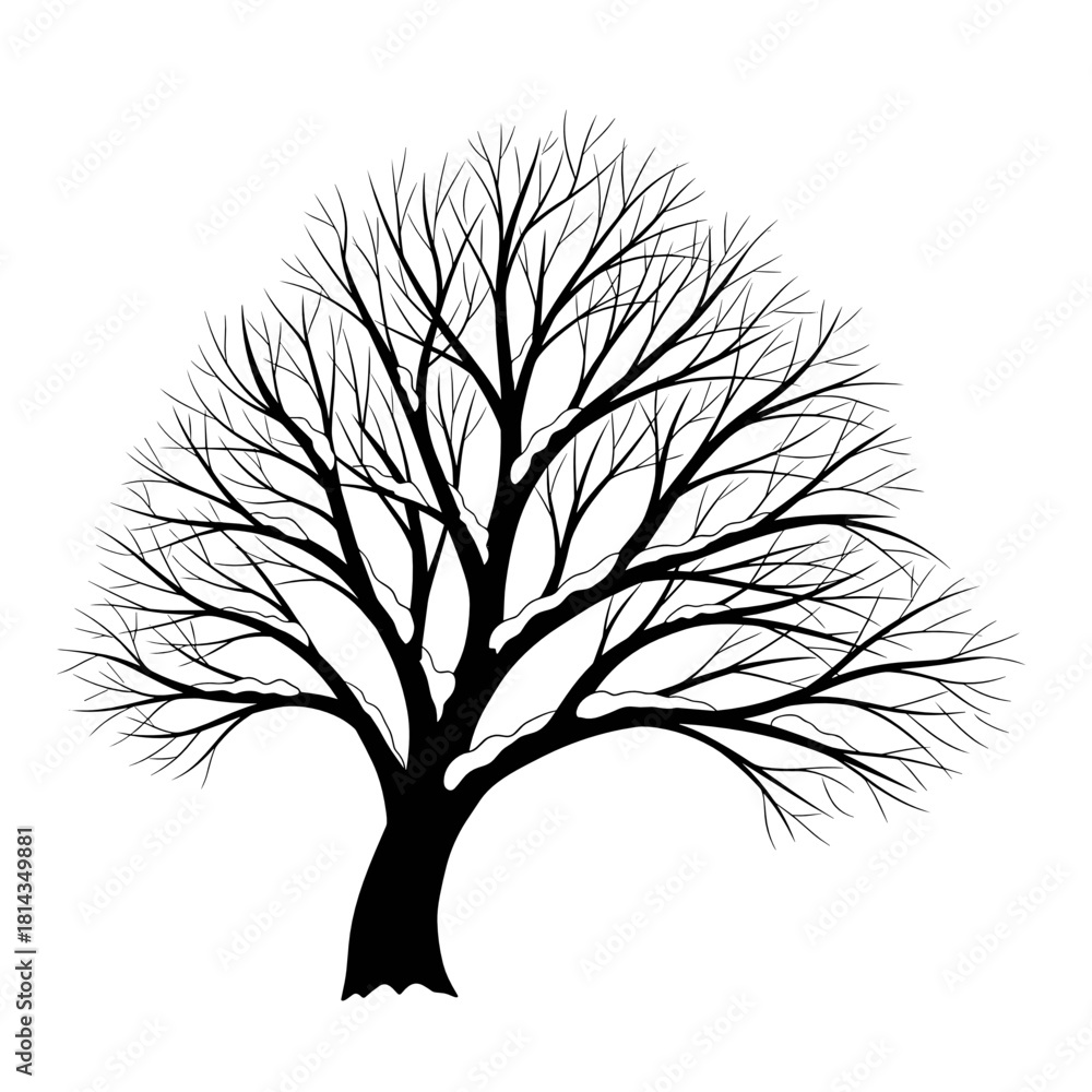Obraz premium Bare tree branches covered in snow against a white background