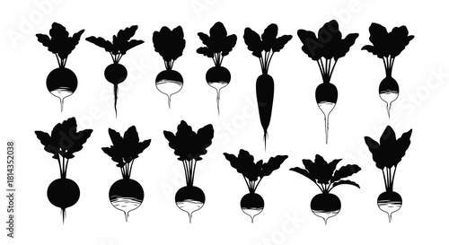 A collection of black and white radish illustrations with leafy tops