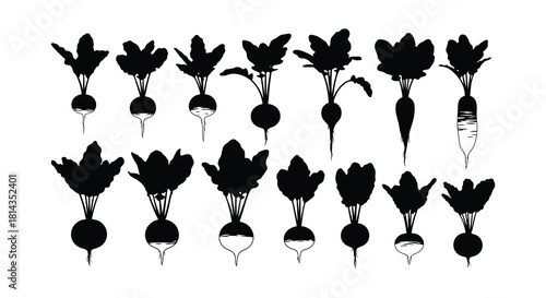 A collection of black and white radish illustrations with leafy tops