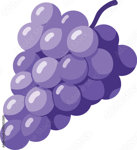 A bunch of purple grapes with a stem on a white background, illustration with a simple and colorful style.