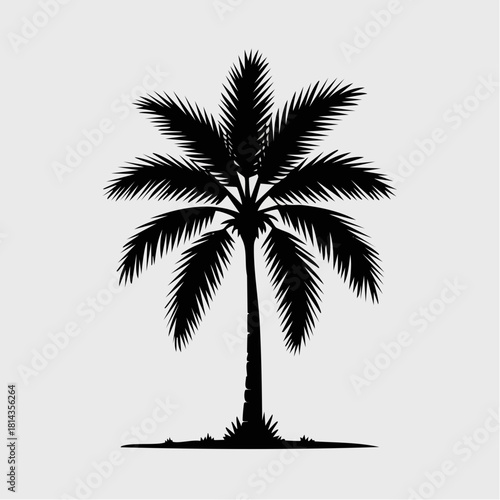 Black silhouette of a tropical palm tree with lush fronds and a sturdy trunk, standing on a small patch of ground.