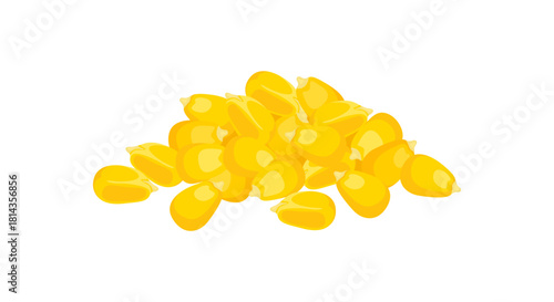 Corn grains isolated on white background. Vector cartoon flat illustration. 