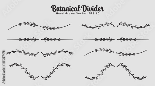 Vine line divider hand drawn for text layout separator decoration vector illustration