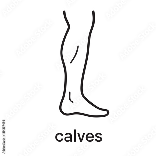 Simple black and white line drawing depicting a human leg and foot with the word calves below