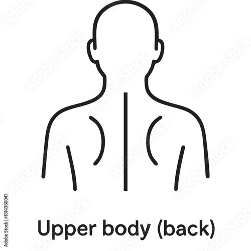 a simple line art illustration depicts the upper back and shoulders of a human figure showing anatomy