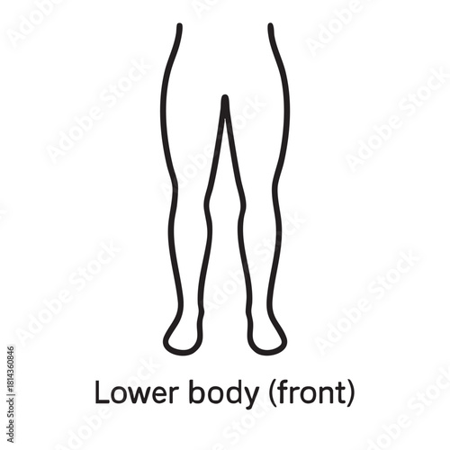 Simple line drawing depicts a human s legs in a front view illustrating basic anatomical form and posture