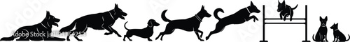 Dog agility training silhouettes showing different breeds running, jumping, and sitting, black vector illustration of pet obedience and exercise