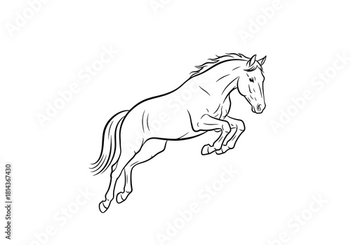 Leaping Horse Outline: Dynamic Equestrian Illustration