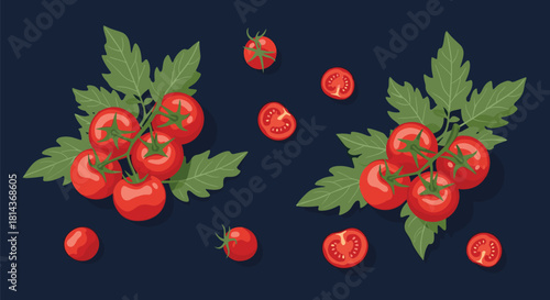 A collection of ripe cherry tomatoes on the vine with scattered sliced tomatoes on a dark blue background.