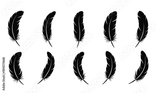 Set of Black Feather Silhouettes. Collection of Different Bird Feathers for Decoration, Softness, Native American, and Freedom Concepts.