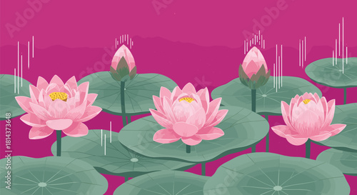 Pink water lilies bloom on a pond with large green lily pads and a pink background.