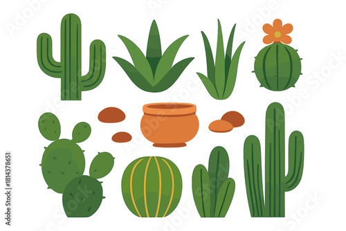 Diverse set of green desert plants featuring various cacti, aloe vera, a clay pot, and rocks