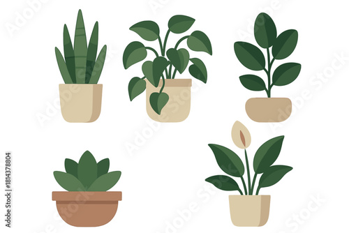 Collection of various potted green foliage plants for home and office decoration