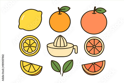 Whole citrus fruits, slices, leaves, and a manual juicer tool set