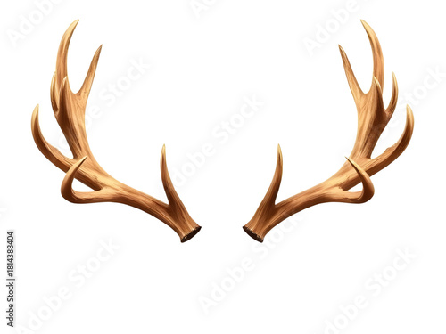 deer, antlers, vector, silhouette, outline, horns, nature, wildlife, animal, forest, wild, rustic, woodland, tribal, nordic, emblem, crest, graphic, illustration, contour, shape, design, minimal, deco