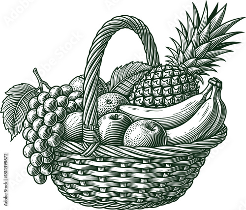 Engraving art vintage engraving illustration of a wicker basket overflowing with a variety of fresh tropical and temperate fruit