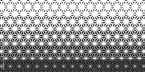 Abstract geometric pattern of black figures on a white background. Modern ray method