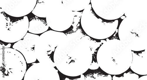High contrast abstract pattern of citrus slices in black and white.