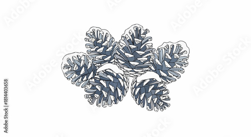 A cluster of six pine cones with snow on them arranged together on a white background in illustration style